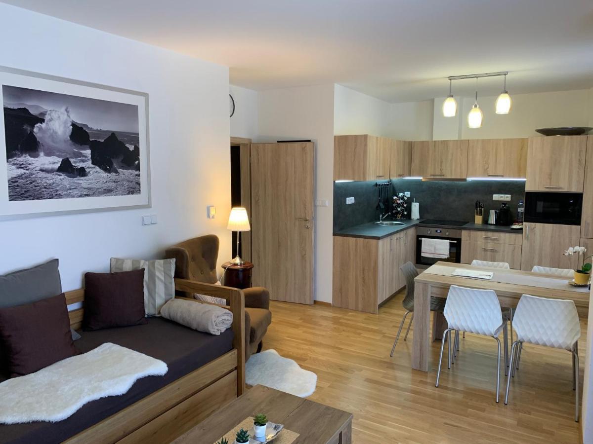 Apartment Rezidence - Javor & Wellness Železná Ruda Esterno foto