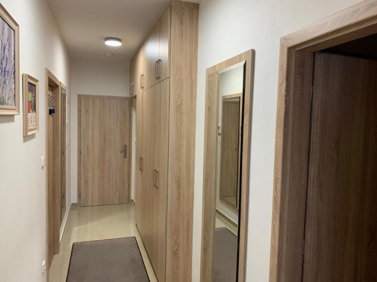 Apartment Rezidence - Javor & Wellness Železná Ruda Esterno foto