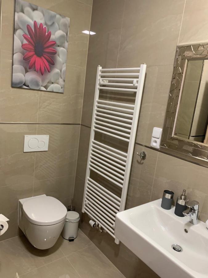 Apartment Rezidence - Javor & Wellness Železná Ruda Esterno foto