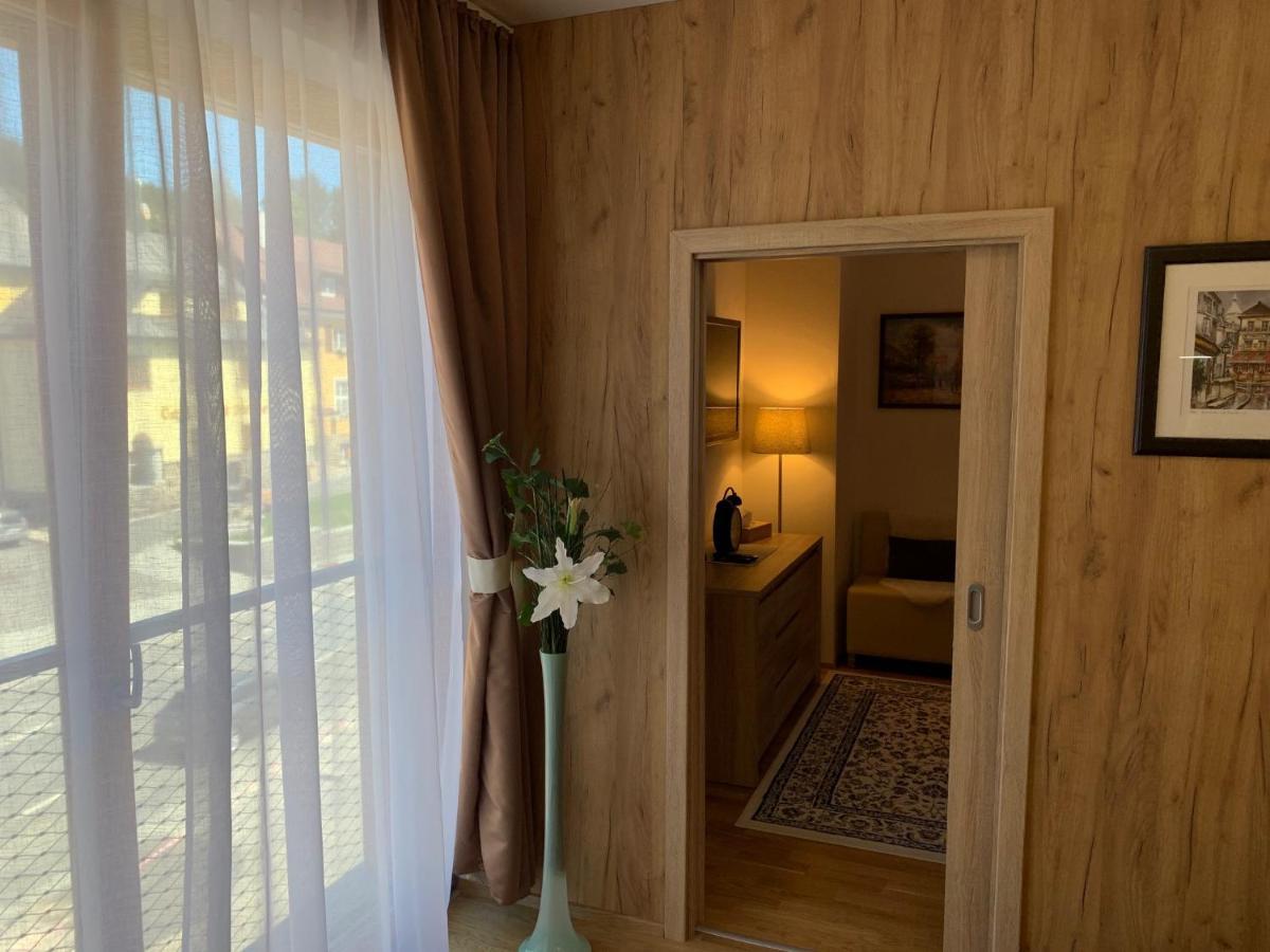 Apartment Rezidence - Javor & Wellness Železná Ruda Esterno foto